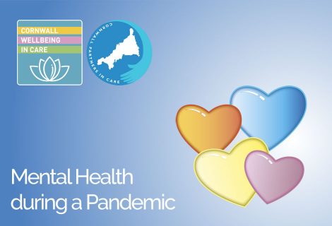 Mental Health in a Pandemic Seminar - Header Image